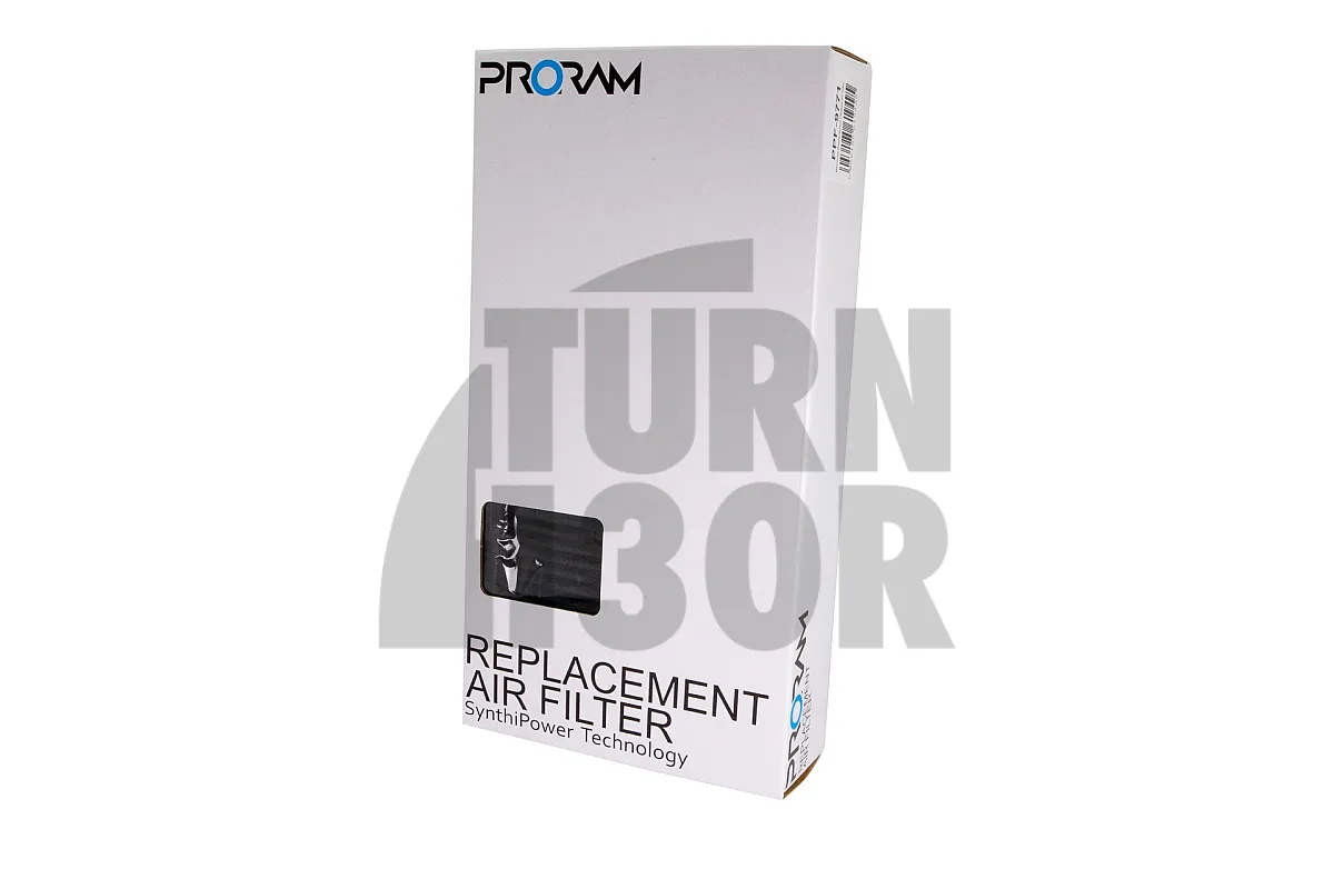 Filtri Panel Ramair Proram per Mercedes C63 AMG W205