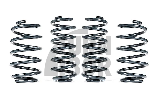 Racingline -25 mm molle sportive UP GTI