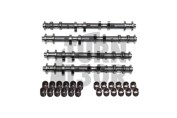 Set di alberi a camme e molle della valvola HKS Nissan R35 GTR