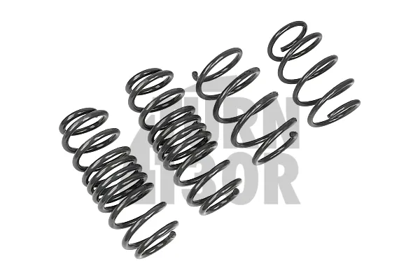 Racingline -20mm Molle Sport Golf 8 R 