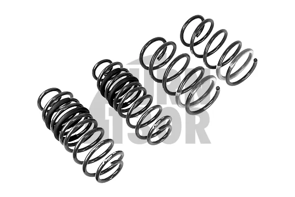 Racingline -30mm Molle sportive Polo AW GTI 