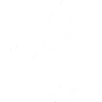 SOCIETÀ EUROPEA