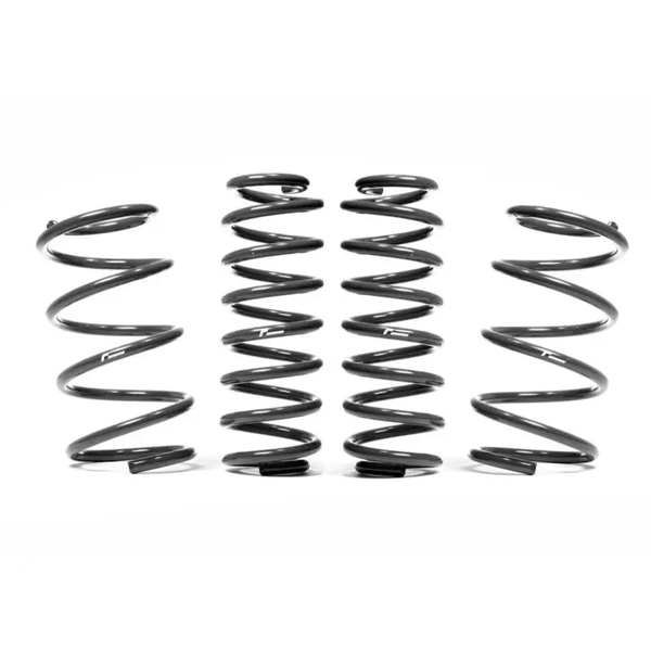 Racingline -30mm Molle sportive Polo AW GTI 